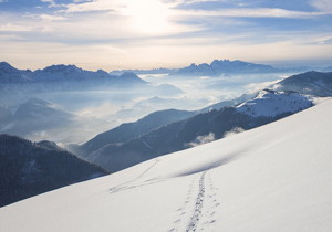 壓力角20°模數(shù)m20整體齒輪滾刀